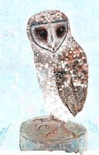 scooty owl 